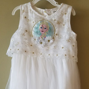 DISNEY STORE ELSA SPRING GARDEN PARTy DRESS